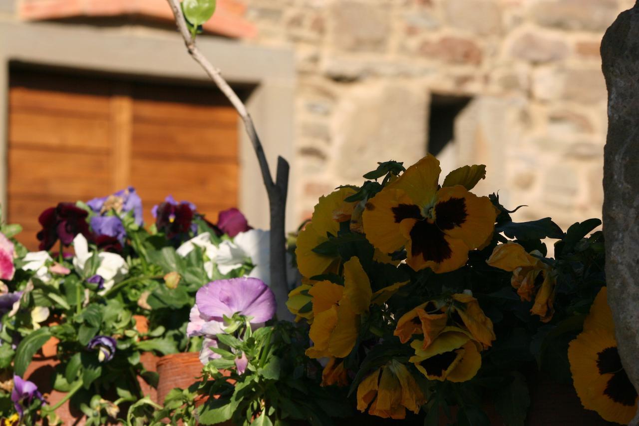Villa Podere Pian De' Cortini Serravalle  Exterior foto